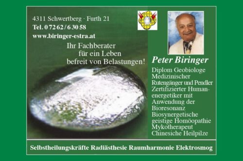 Energetiker Peter Biringer