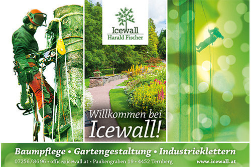 Icewall - Harald Fischer