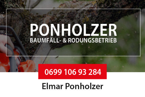 Ponholzer Baumfäll- & Rodungsbetrieb