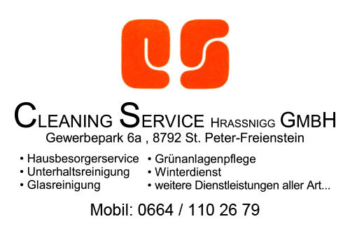 Cleaning Service GmbH