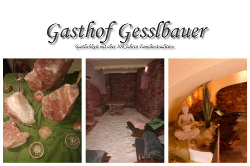 Gasthof Gesslbauer - Salzgrotte