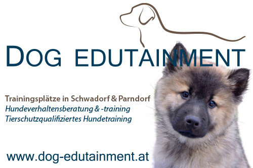 DOG EDUTAINMENT, Hundeverhaltensberatung & -training, Mantrailing