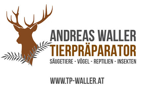 Andreas Waller Tierpräparator
