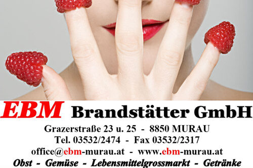EBM Brandstätter GmbH