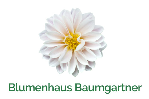 Blumenhaus Baumgartner