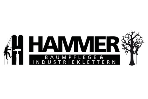 Hammer Baumpflege & Industrieklettern