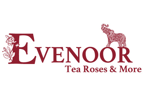 Evenoor